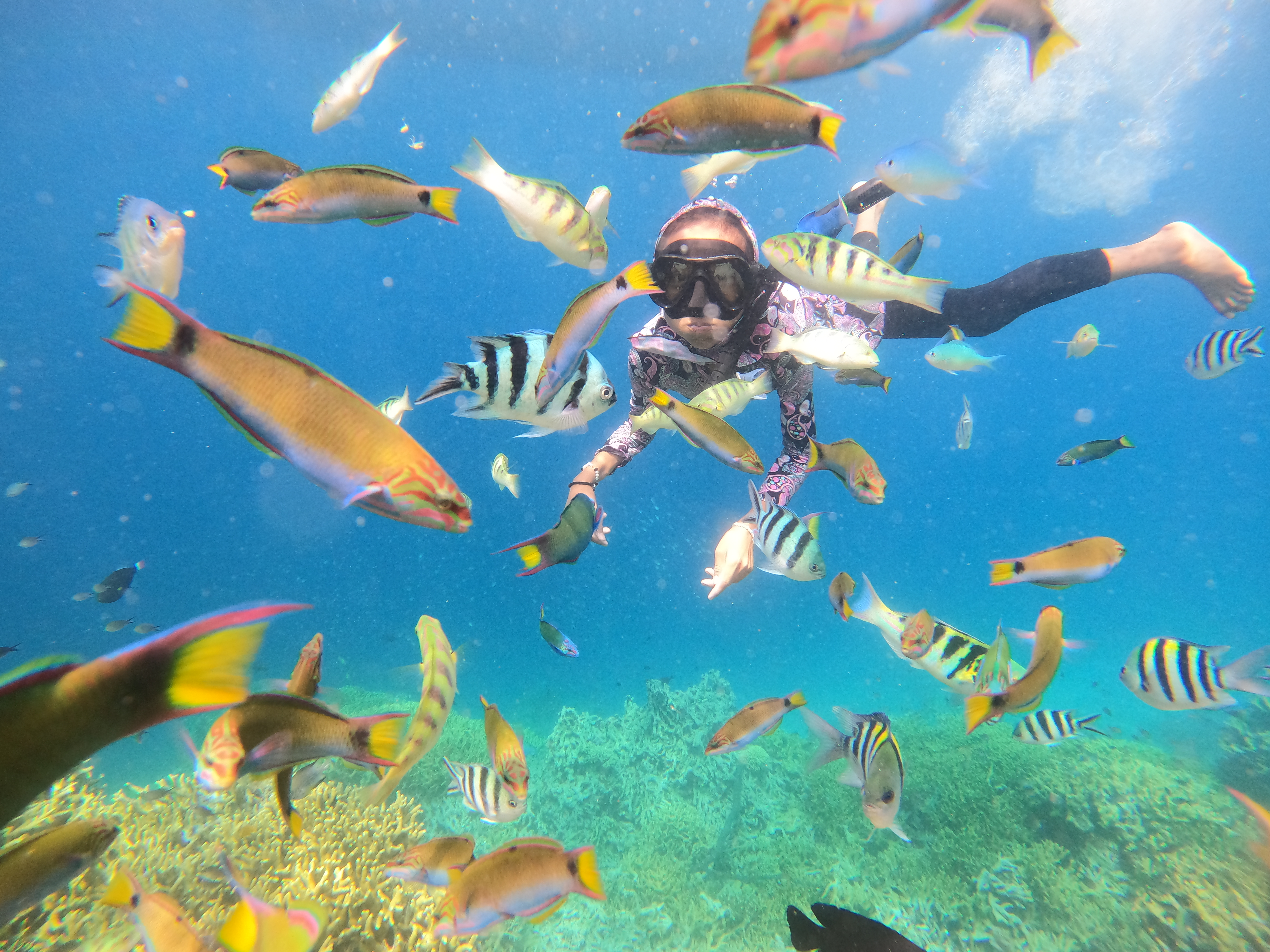 Paket Snorkeling